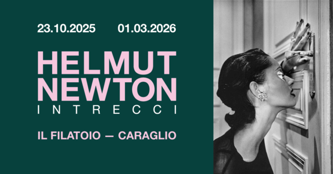 Newton_banner-sito_18.09.25